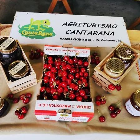 Cantarana Διαμέρισμα